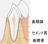 エムドゲイン図